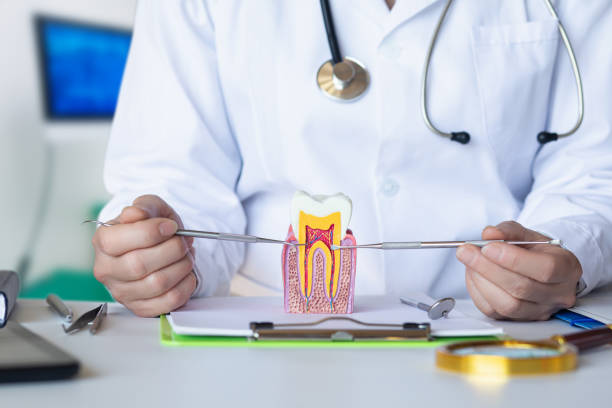 Best Emergency Gum Treatment in Chena Ridge, AK
